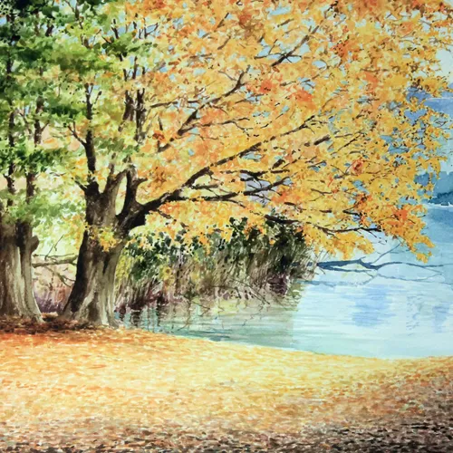 Jesienny park