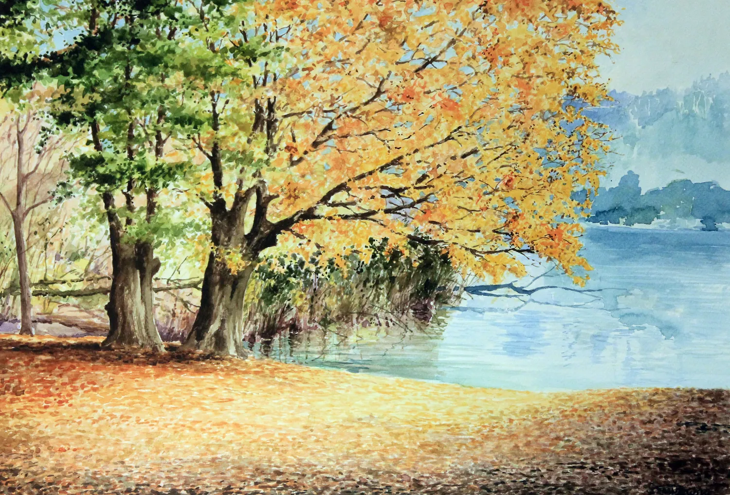 Jesienny park